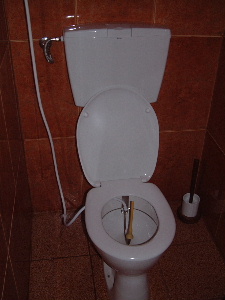 clysmatic fits on the toilet