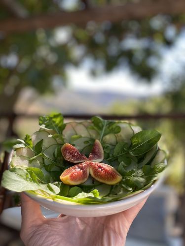 figs and green leaves at Moinhos Velhos